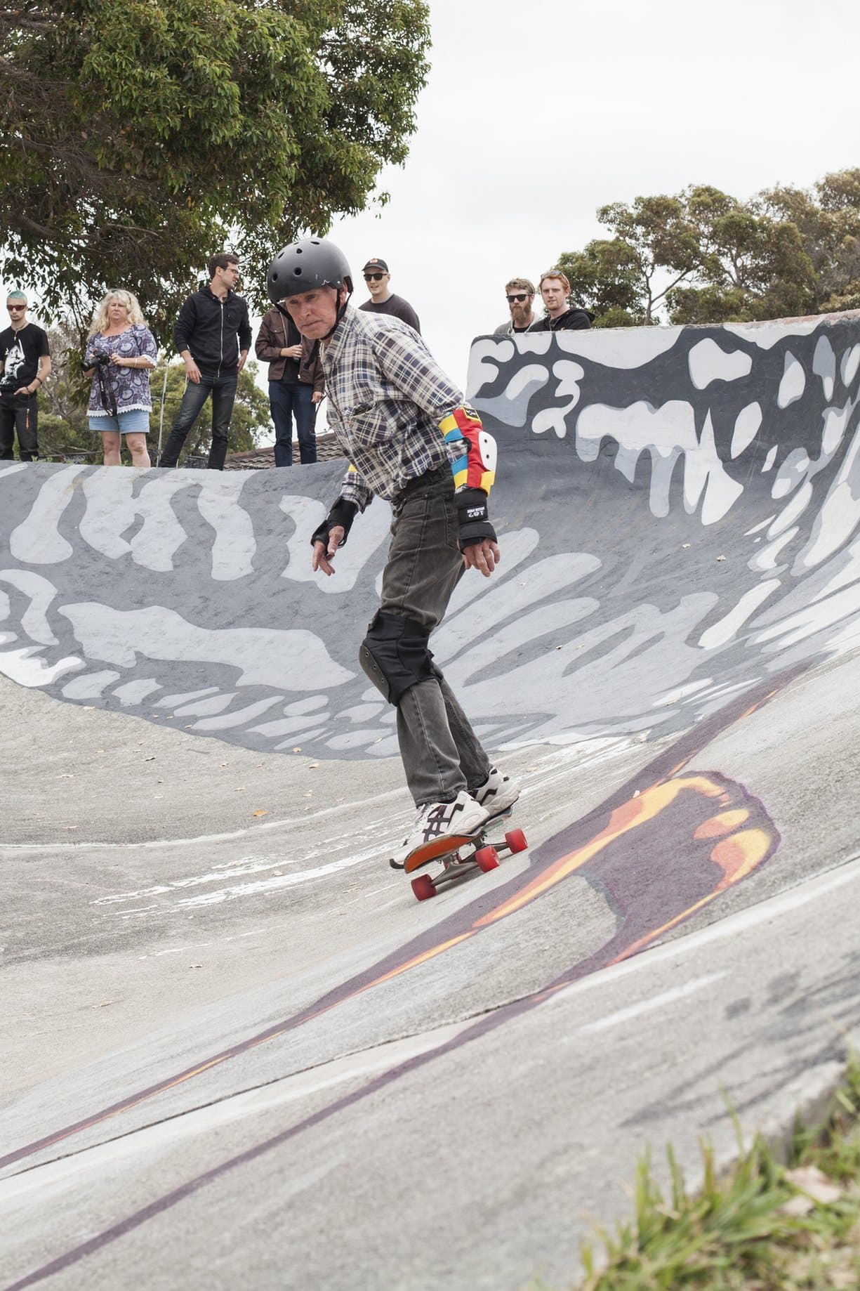 Albany New Park Skatpark photo 1