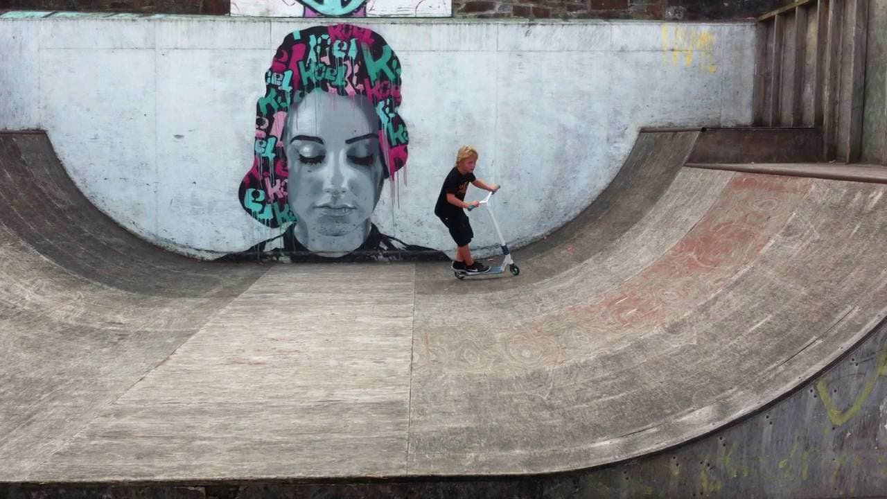 Appledore Mini Ramp Skatepark photo 1