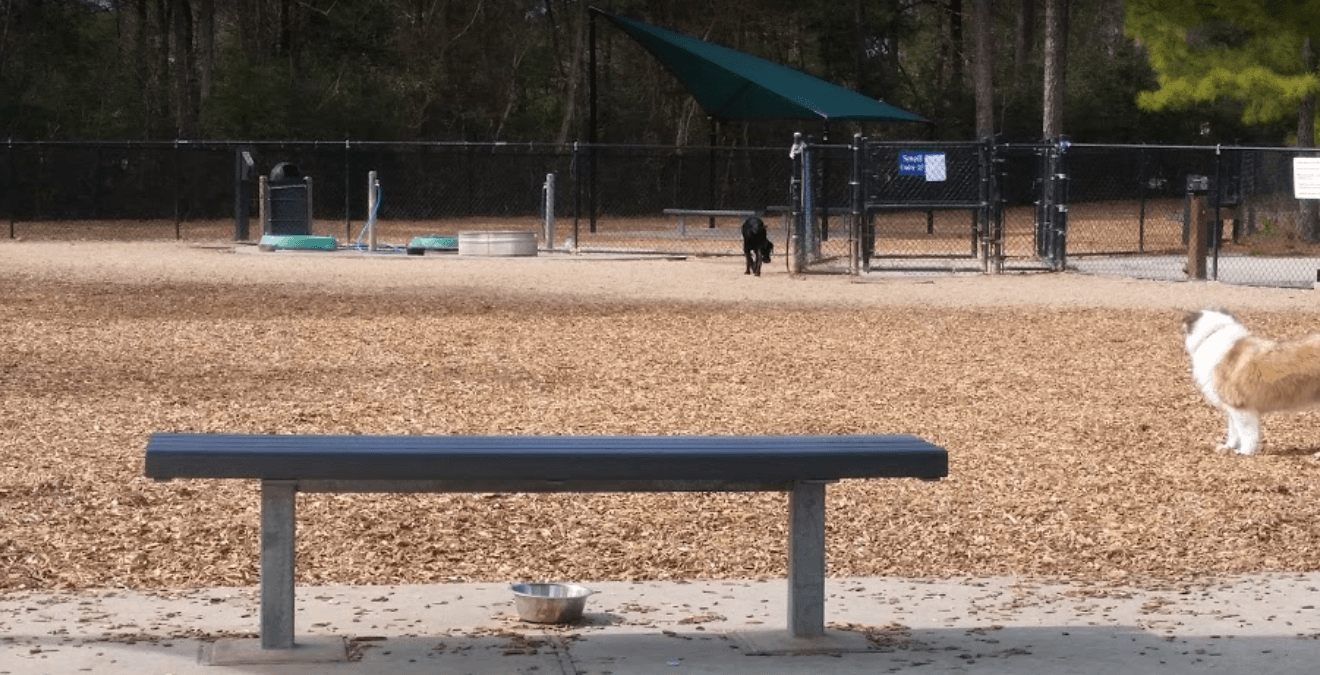 Bear Branch Park photo 1