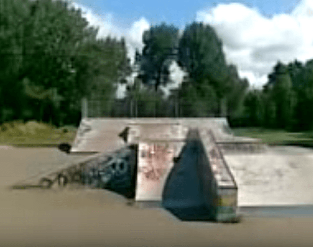 Chase Lane Skatepark photo 1