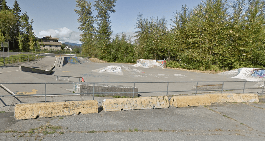 Cowichan Lake Skatepark photo 1