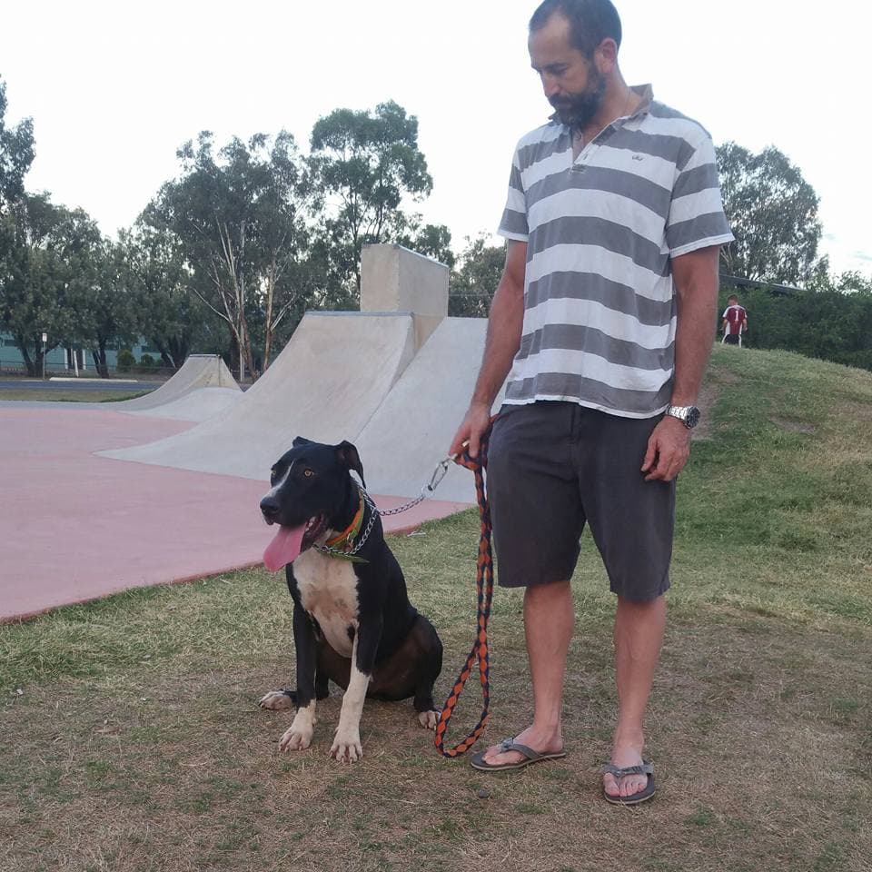 Dalby Skate Park photo 1