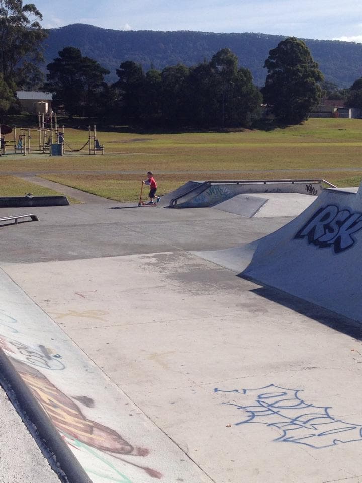 Dapto skate park photo 1