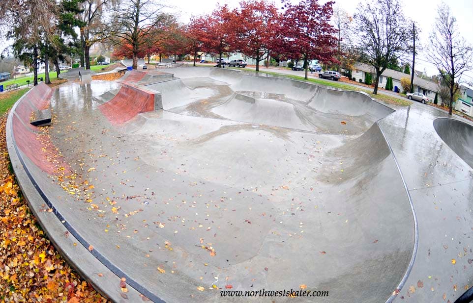 Delridge Skatepark photo 1
