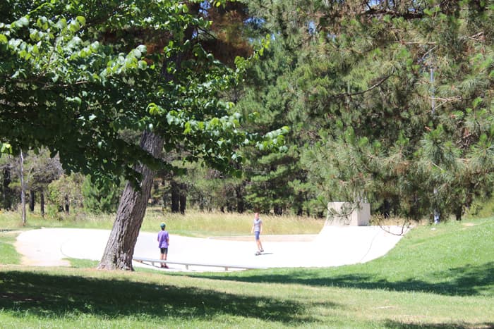 Fadden Pines Skatepark photo 1