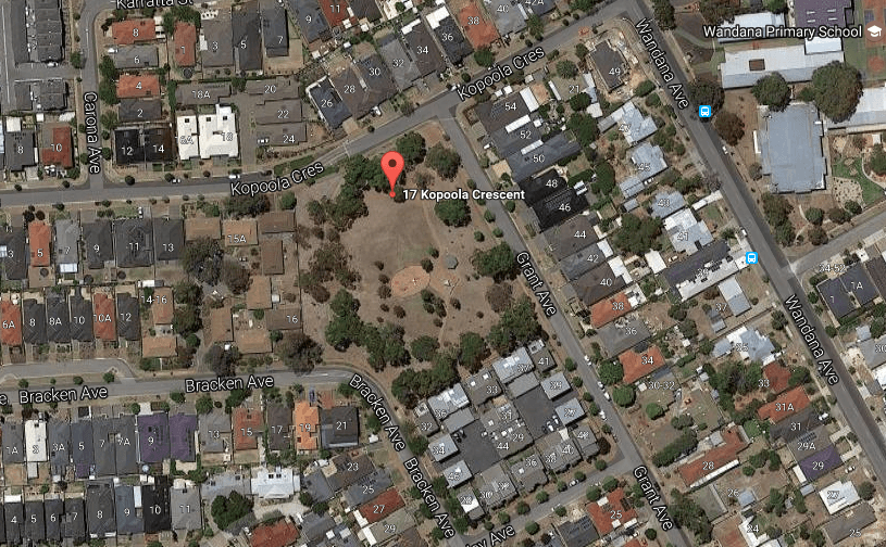 Gilles Plains Skatepark photo 1