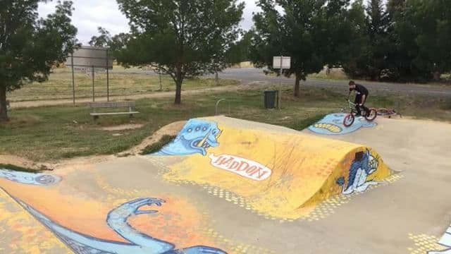 Haddon Skatepark photo 1
