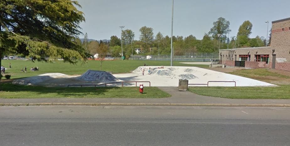 Lewis Centre Skatepark photo 1