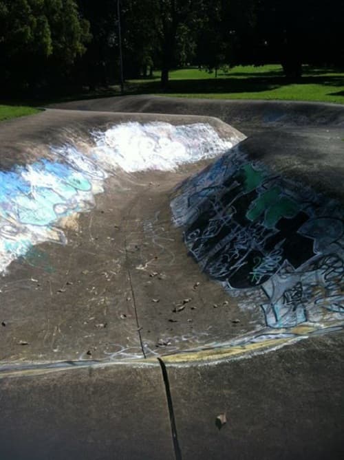 Lidcombe Snake Run Skatepark photo 1