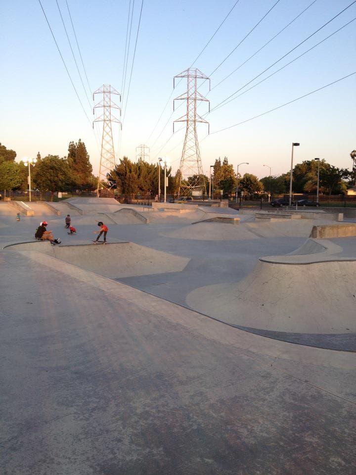 Lions Park Skatepark photo 1