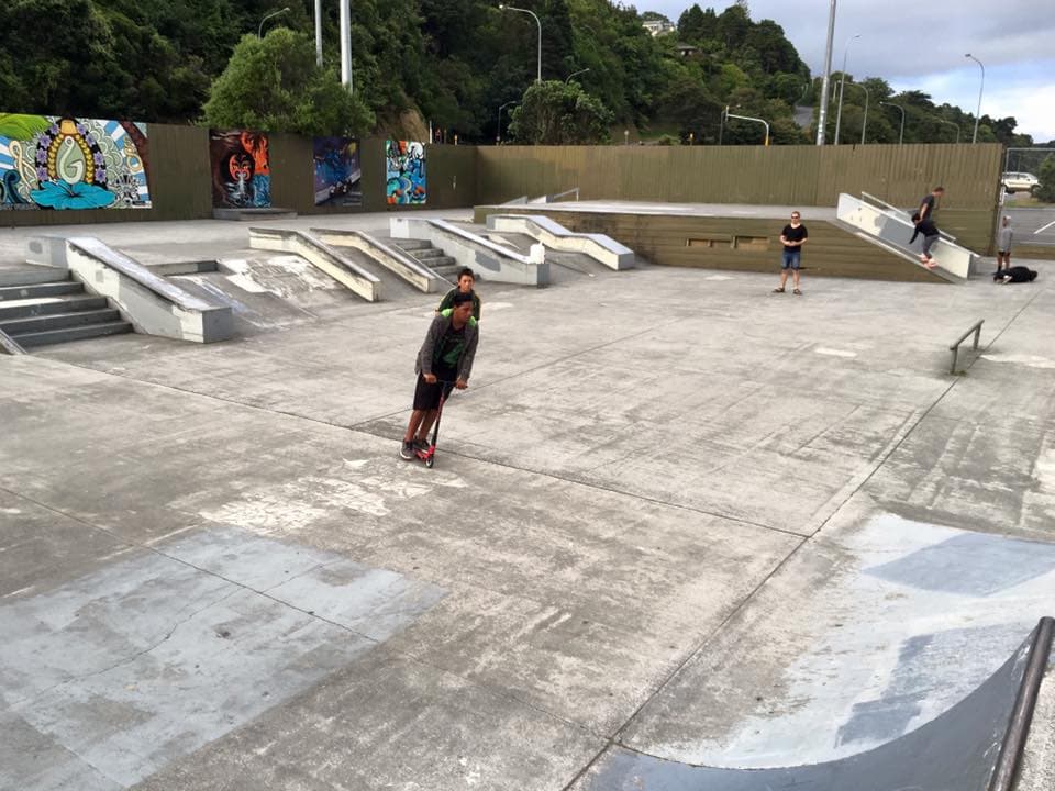 Lower Hutt Skatepark photo 1