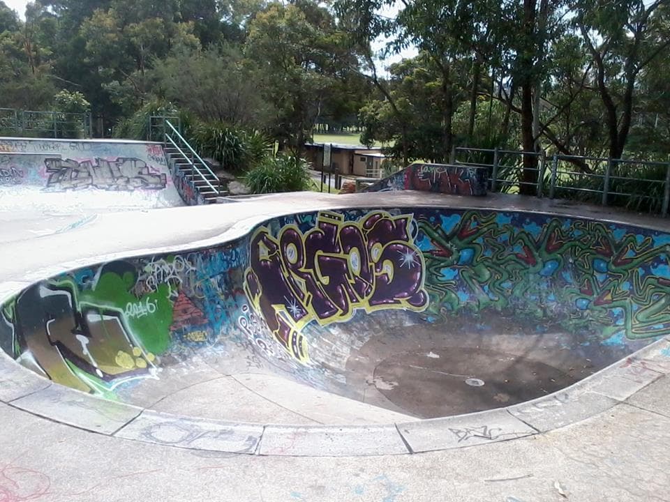 Manlyvale Skatepark photo 1