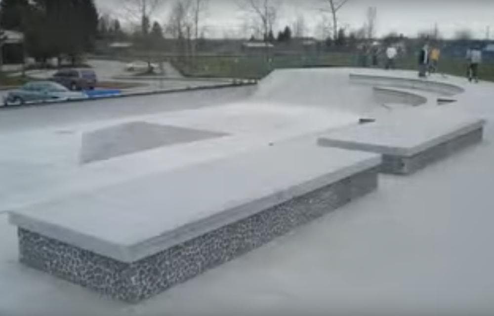 Maple Ridge Skatepark photo 1