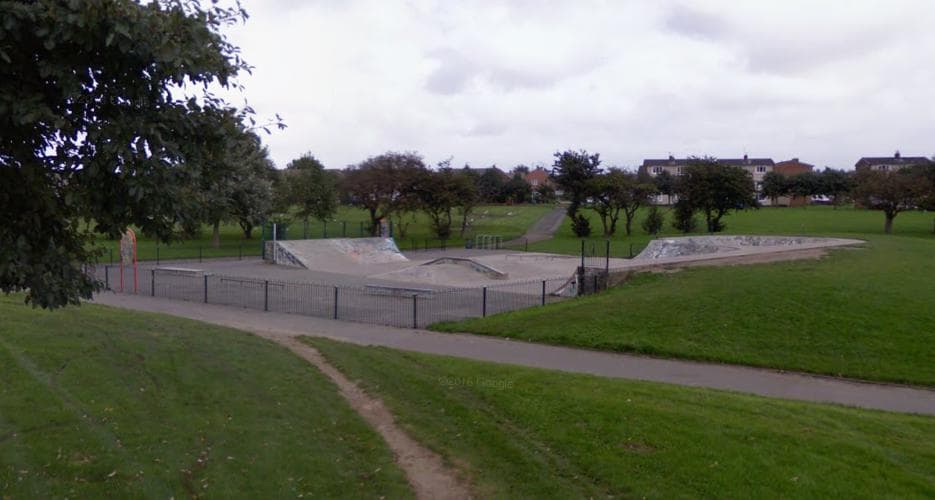 Oliver Henderson Park Skatepark photo 1