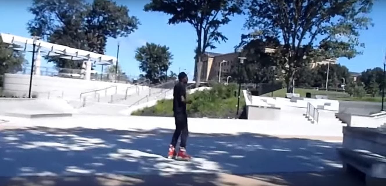 Paines Park Skatepark photo 1