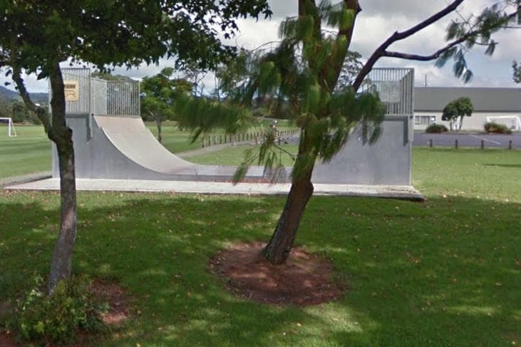 Parrs Park Mini Ramp Skatepark photo 1