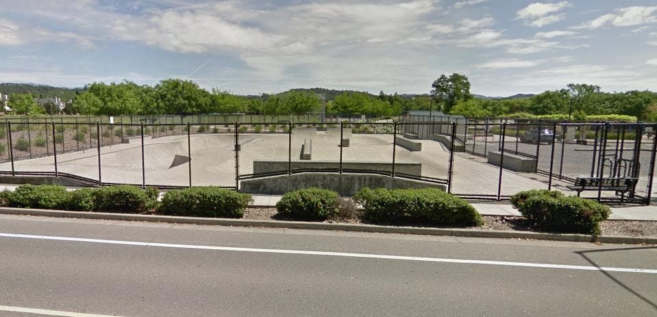 Pat Elsbree Skatepark photo 1