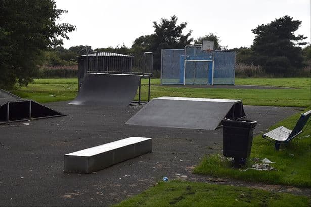 Pennyburn Rec Skatepark photo 1