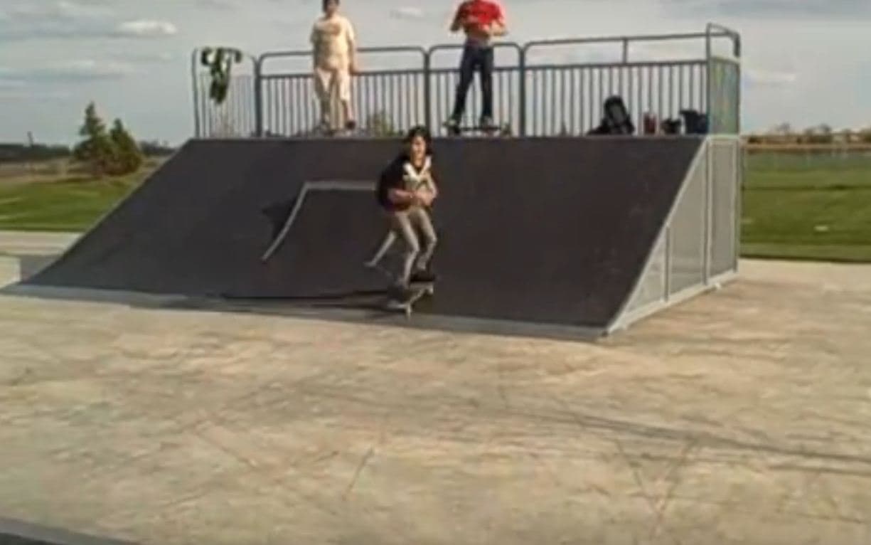 Pingree Skatepark photo 1