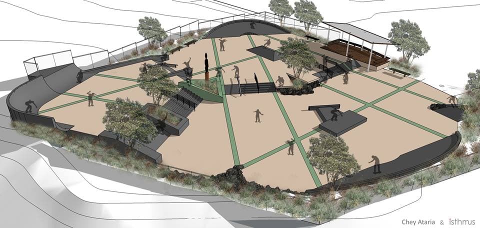 Pukekohe Skatepark photo 1