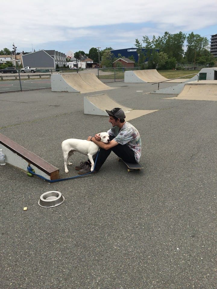 Quincy Skatepark photo 1