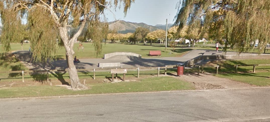 Shannon Bridge Park Skatepark photo 1