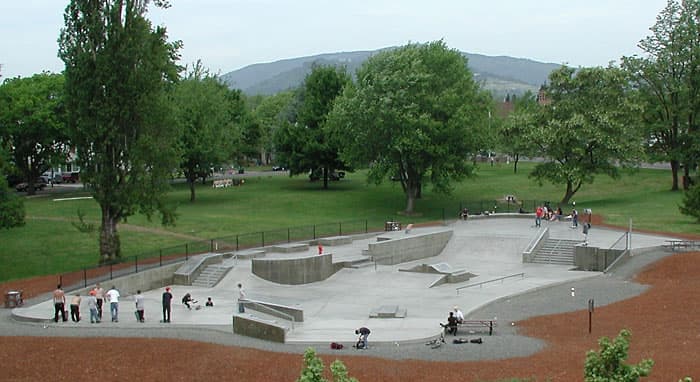 Springfield Willamilane Skatepark photo 1