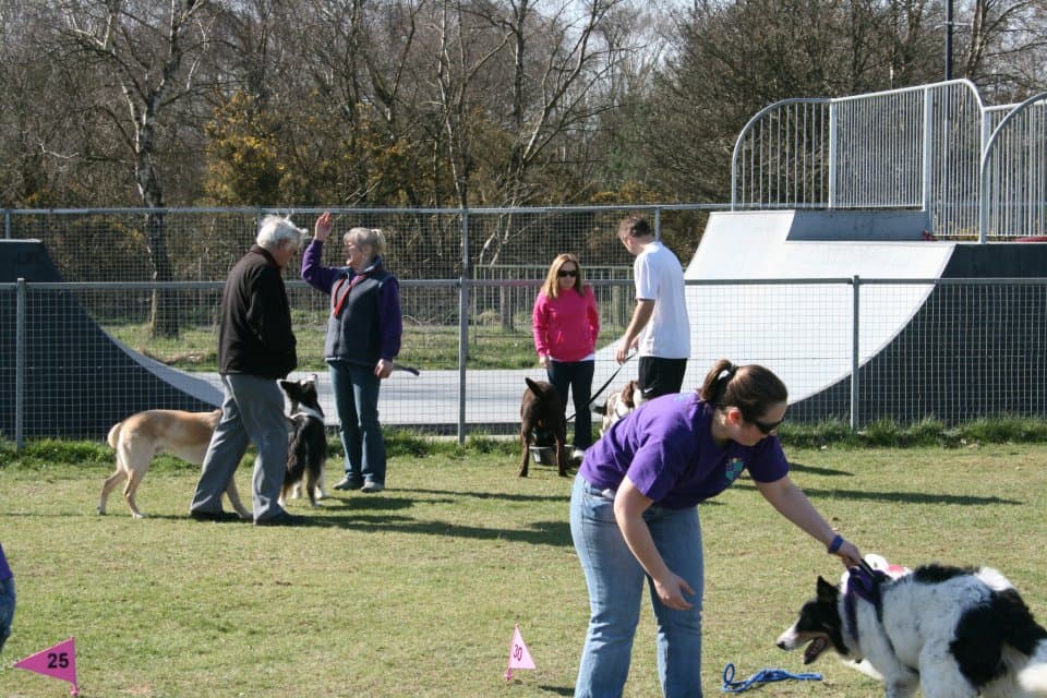 Tadley Skatepark photo 1