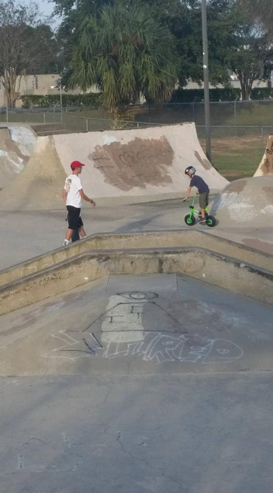 Tavares Skatepark photo 1