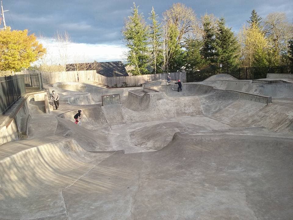 West Linn Skatepark photo 1
